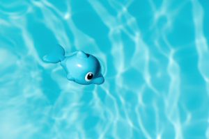 Blue and White Toy Dolphin Floating on Water